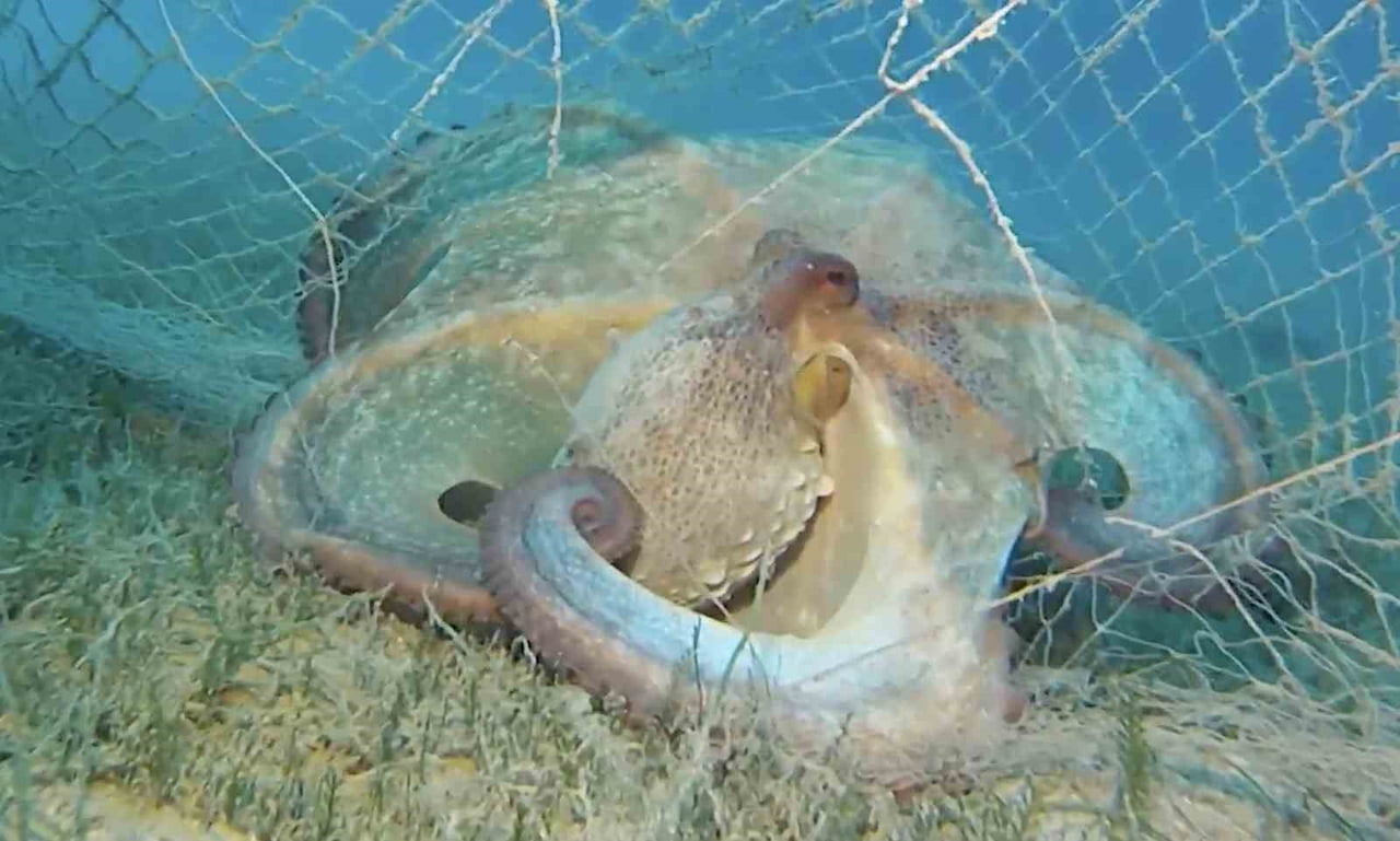 TARIM VE ORMAN BAKANLIĞI, YIL İÇİNDE YÜRÜTÜLEN ÇALIŞMALAR KAPSAMINDA 360 BİN METREKARE HAYALET...