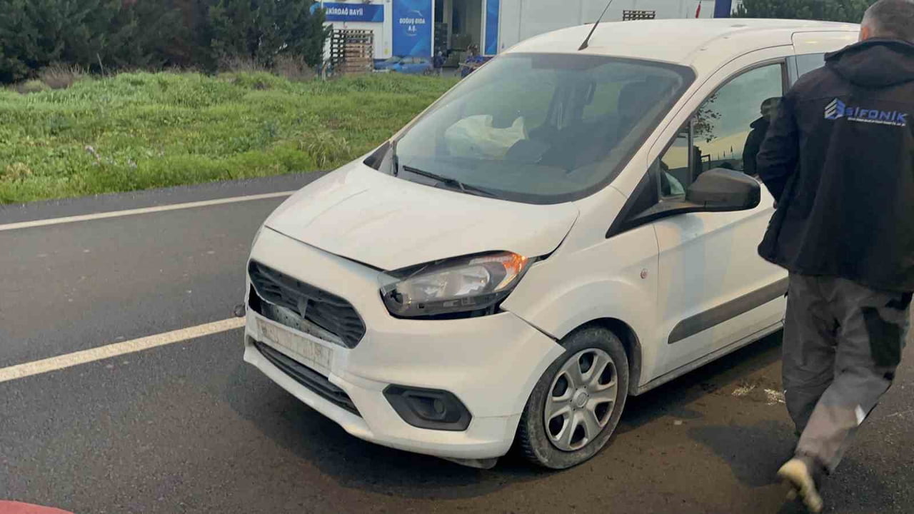 TEKİRDAĞ'IN ÇORLU İLÇESİNDE SEYİR HALİNDEKİ ARACIN YOLA ÇIKAN BAŞIBOŞ KÖPEĞE ÇARPMASI SONUCU...