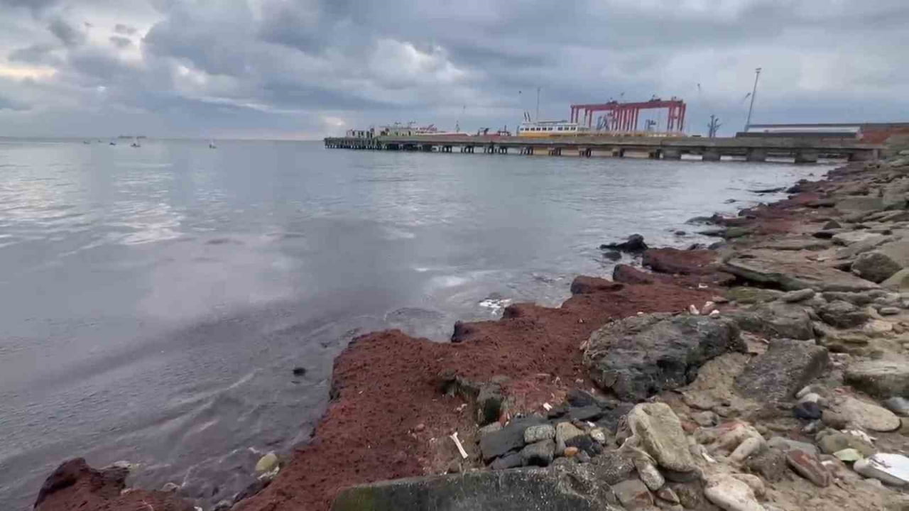 TEKİRDAĞ’DA ÜÇ GÜNDÜR ETKİSİNİ SÜRDÜREN KUVVETLİ POYRAZ NEDENİYLE SAHİLİN BAZI BÖLÜMLERİ KIRMIZI...