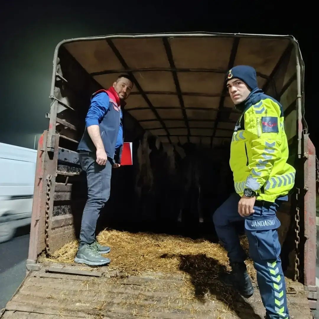 TEKİRDAĞ’IN MALKARA İLÇESİNDE OTOBAN JANDARMA KONTROL NOKTASINDA YAPILAN DENETİMLERDE, VETERİNER...