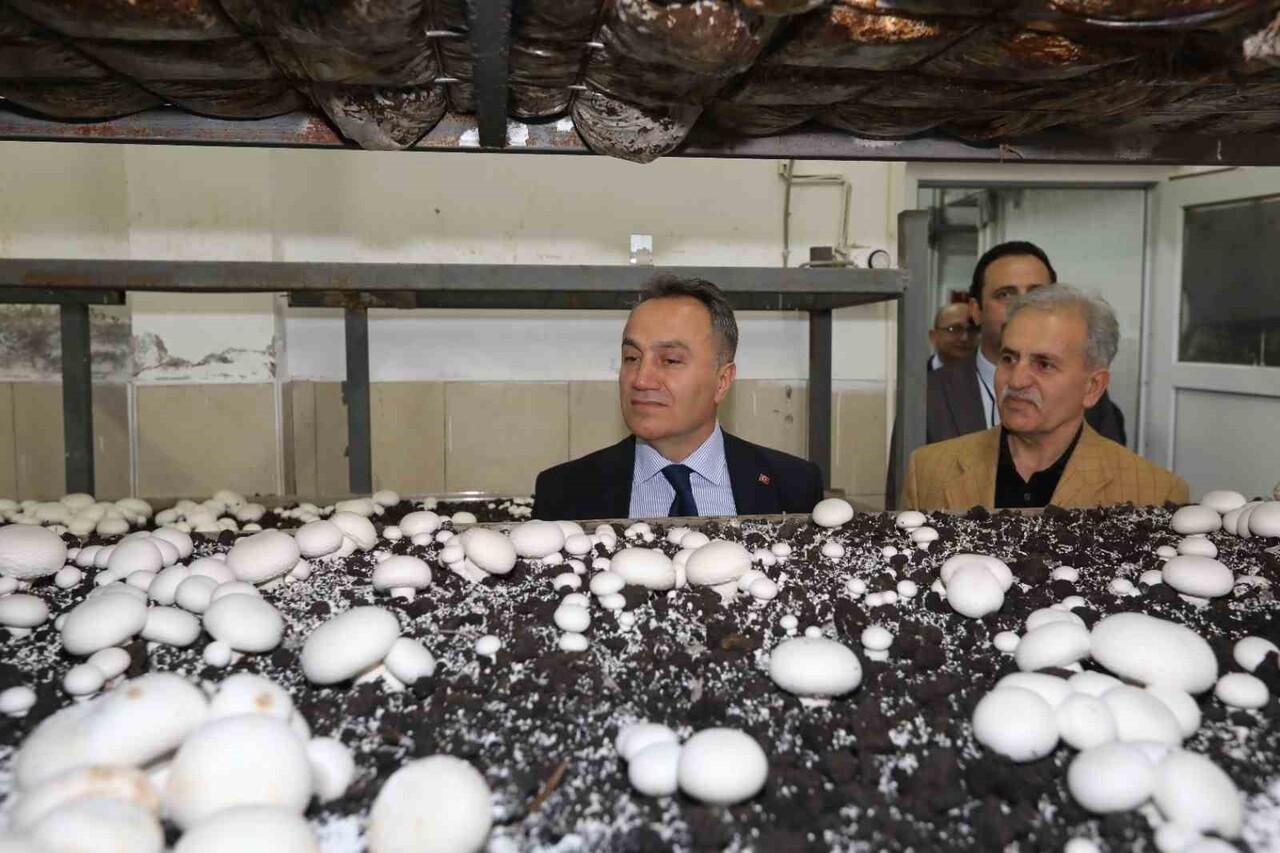 TOKAT GAZİOSMANPAŞA ÜNİVERSİTESİ (TOGÜ) REKTÖRÜ PROF. DR. FATİH YILMAZ, ÜNİVERSİTE BÜNYESİNDEKİ...