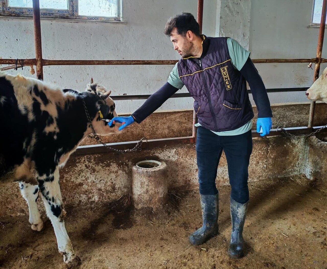 TRAKYA'NIN HASTALIKTAN ARİLİK STATÜSÜNÜN KORUNMASI AMACIYLA, MARMARAEREĞLİSİ İLÇESİNE BAĞLI...