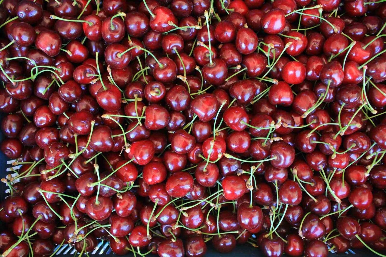 TÜRK PATENT VE MARKA KURUMU (TPE) COĞRAFİ İŞARETLER DAİRESİ BAŞKANI HAKAN KIZILTEPE, İLK "COĞRAFİ...