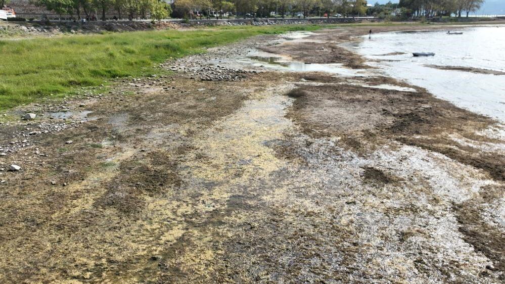 TÜRKİYE'NİN EN ÖNEMLİ GÖLLERİ ARASINDA YER ALAN İZNİK GÖLÜ, GİDEREK KÜÇÜLÜRKEN, ABD'Lİ CARGİLL...