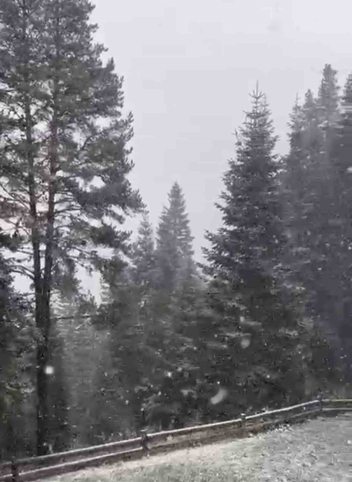 TÜRKİYE’NİN ÖNEMLİ KIŞ TURİZM MERKEZLERİNDEN OLAN ILGAZ DAĞI’NDA KAR YAĞIŞI ETKİLİ OLMAYA BAŞLADI....