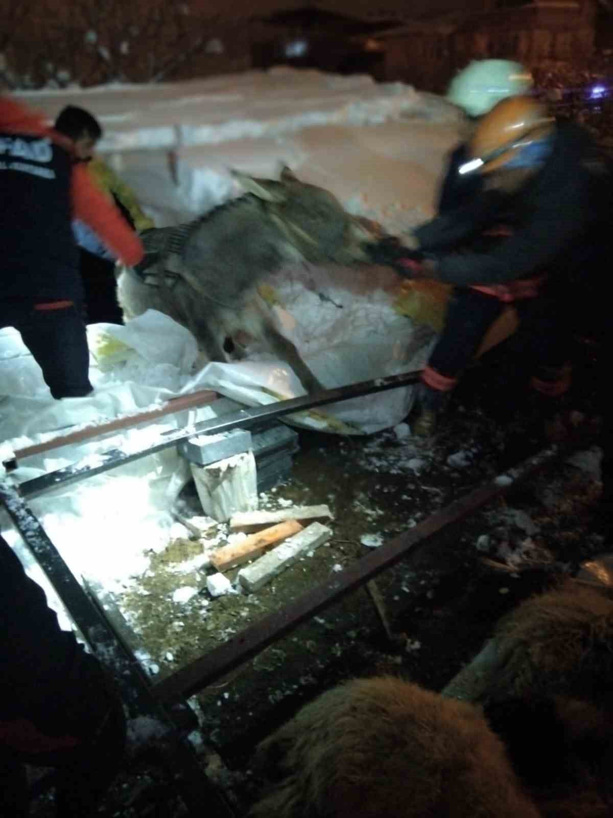 VAN'IN EDREMİT İLÇESİNDE, ETKİLİ OLAN KARIN AĞIRLIĞINA DAYANAMAYAN AHIRIN ÇÖKMESİ SONUCU 5...