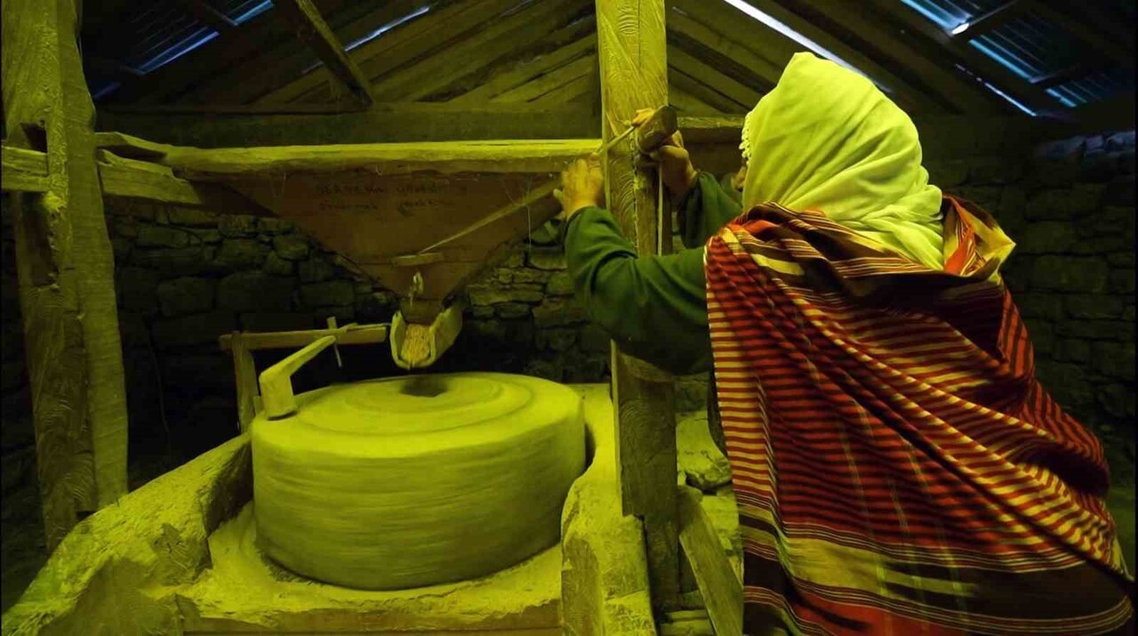YÖRE HALKI, HAKÇI YA DA DEĞİRMENCİNİN BULUNMADIĞI DEĞİRMENLERE KENDİ İMKANLARIYLA GELEREK MISIR...