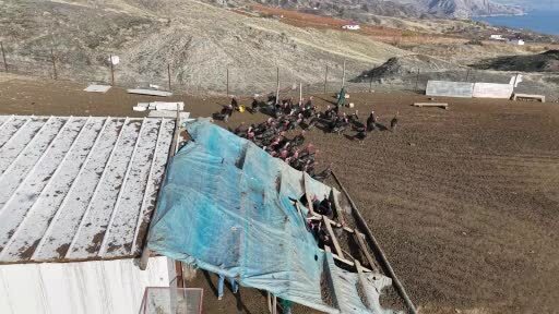 Yurtdışından dönüp, memleketine çiftlik kurdu