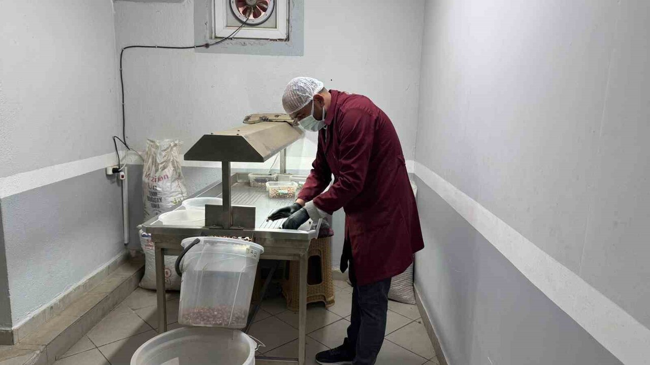 ZONGULDAK’IN ALAPLI İLÇESİNDE FINDIK ÜRETİCİLERİ, SEZONUN KAPANMASININ ARDINDAN ÇEREZLİK...