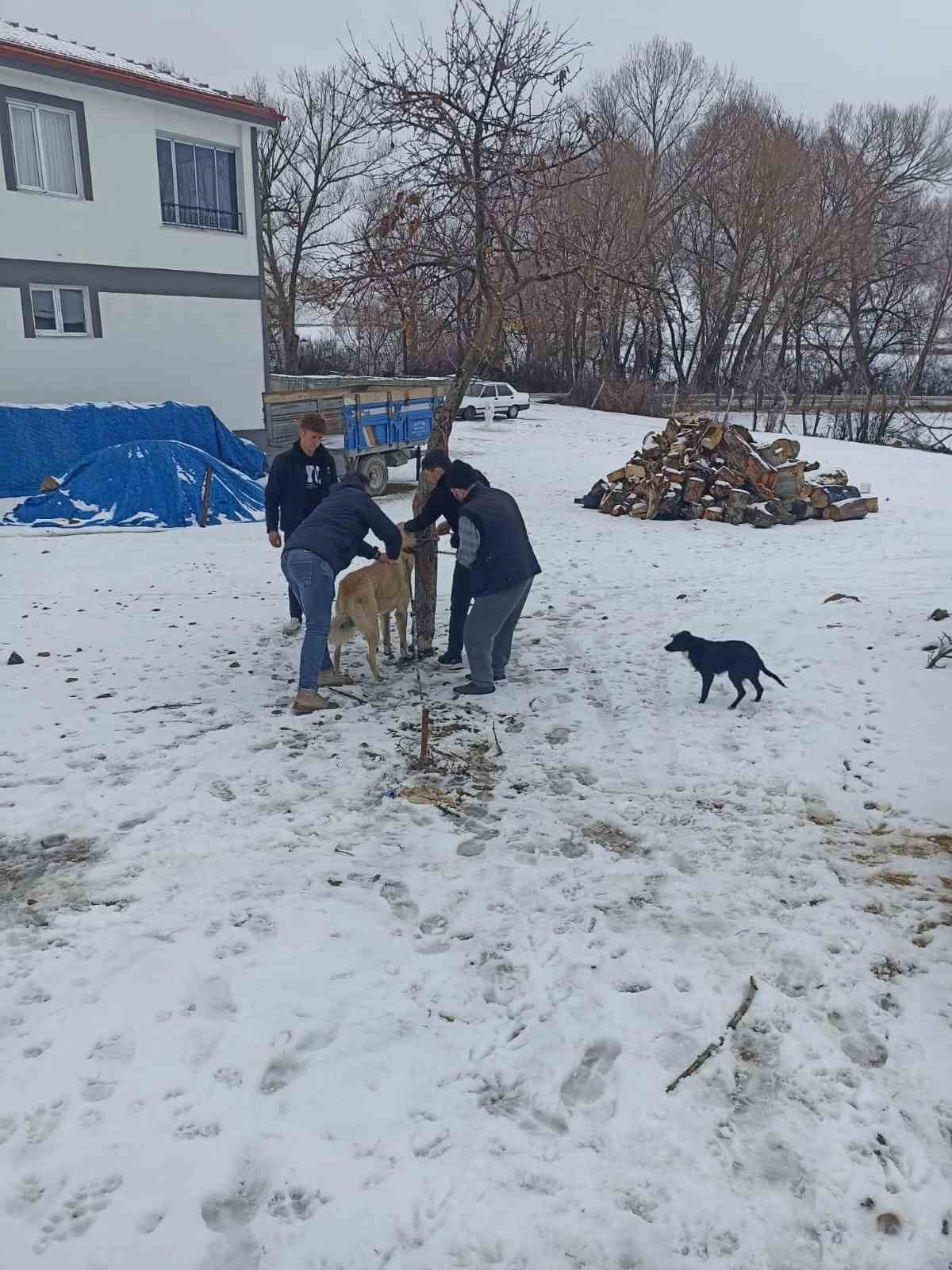 5199 SAYILI HAYVANLARI KORUMA KANUNU KAPSAMINDA YOZGAT GENELİNDE 2025 YILI İÇERİSİNDE SAHİPLİ...