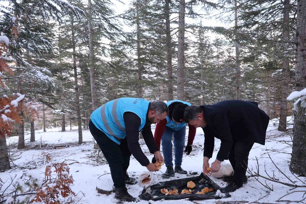 ADANA’NIN 1600 RAKIMLI KATRAN ORMANLARIYLA VE YOĞUN KAR YAĞIŞI NEDENİYLE ZAMAN ZAMAN EKSİ 20...