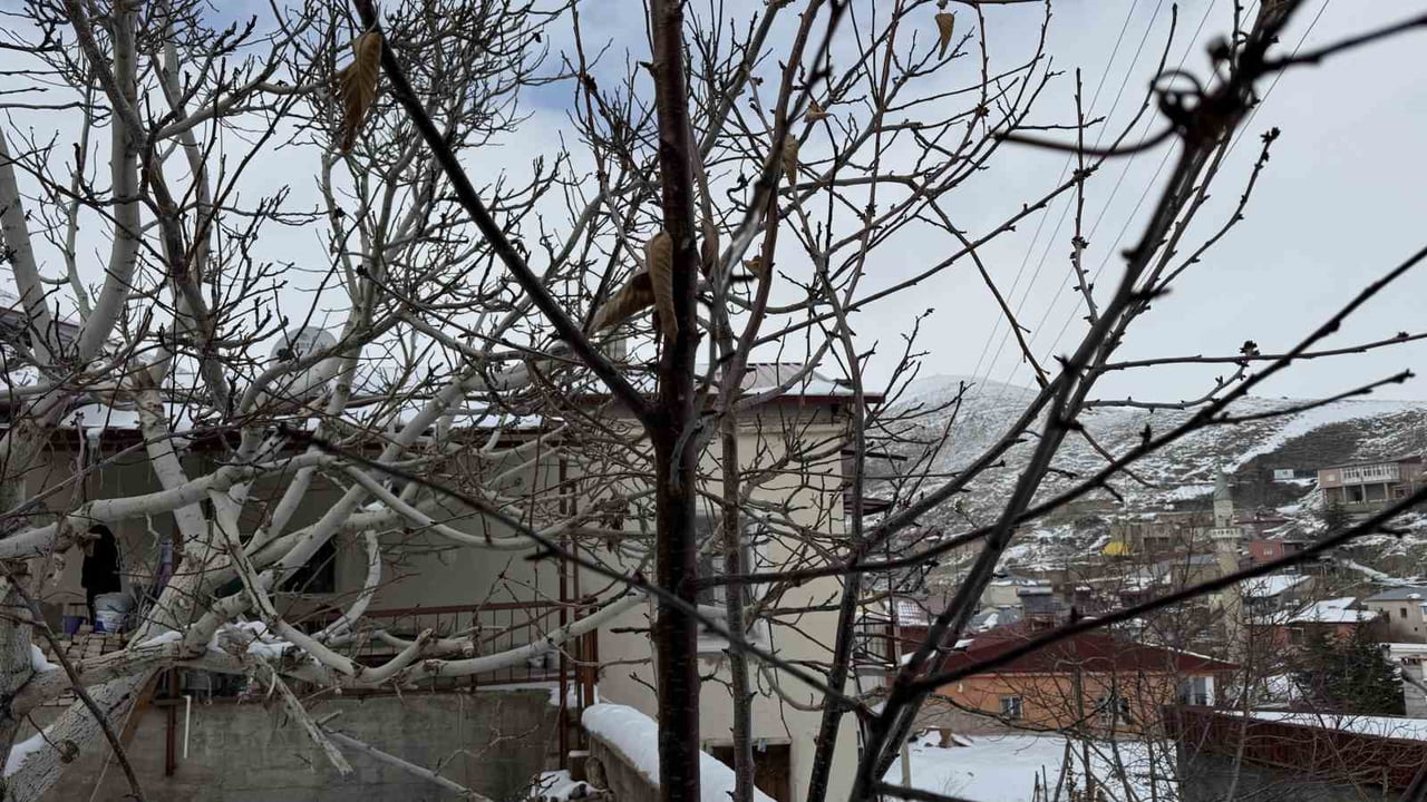 ADANA VE ÇEVRESİNDE SON 52 YILI EN KURAK ZAMANINI GEÇİREN ÇİFTÇİLER, SON BİR AYDA YAĞAN YAĞMUR VE...