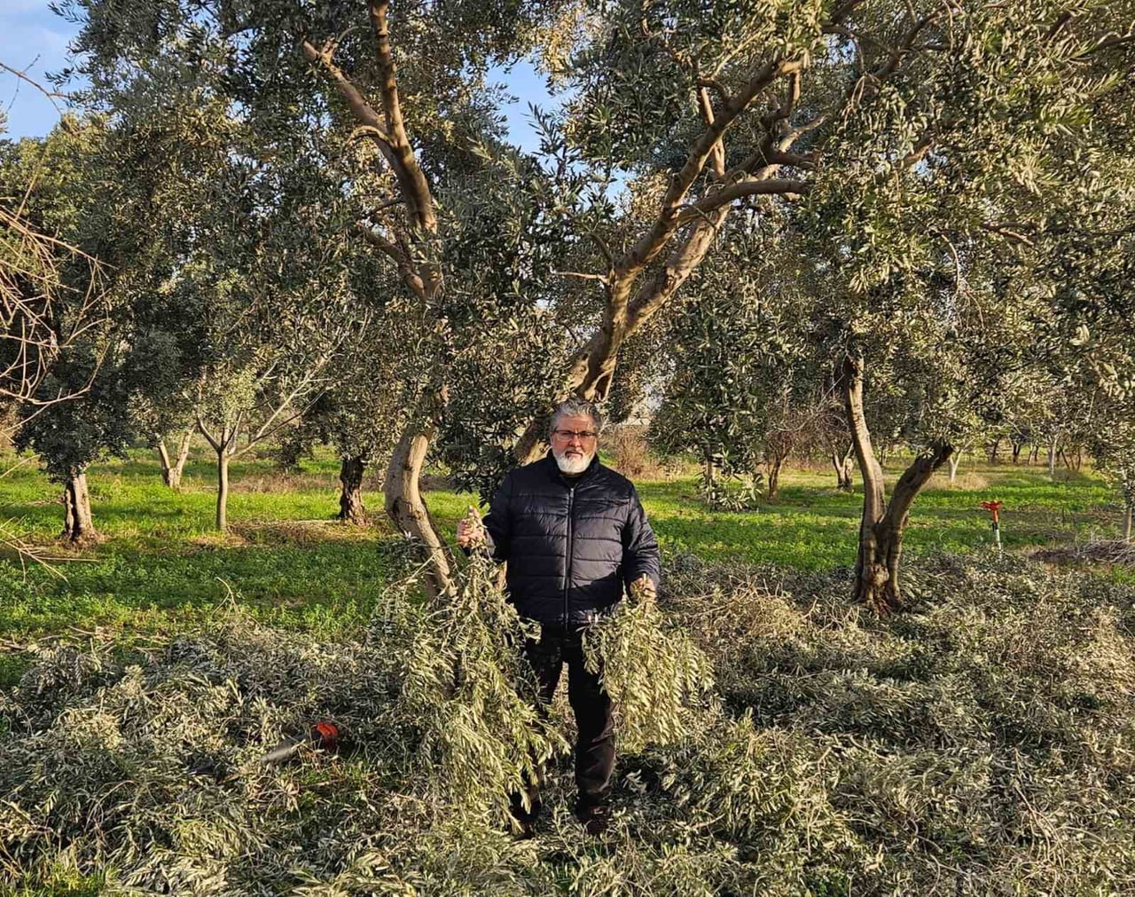 ADÜ TEKNOKENT BÜNYESİNDE FAALİYET GÖSTEREN KARYA FARMA HBX AR-GE, BUDAMA SONRASI ATIK OLARAK...