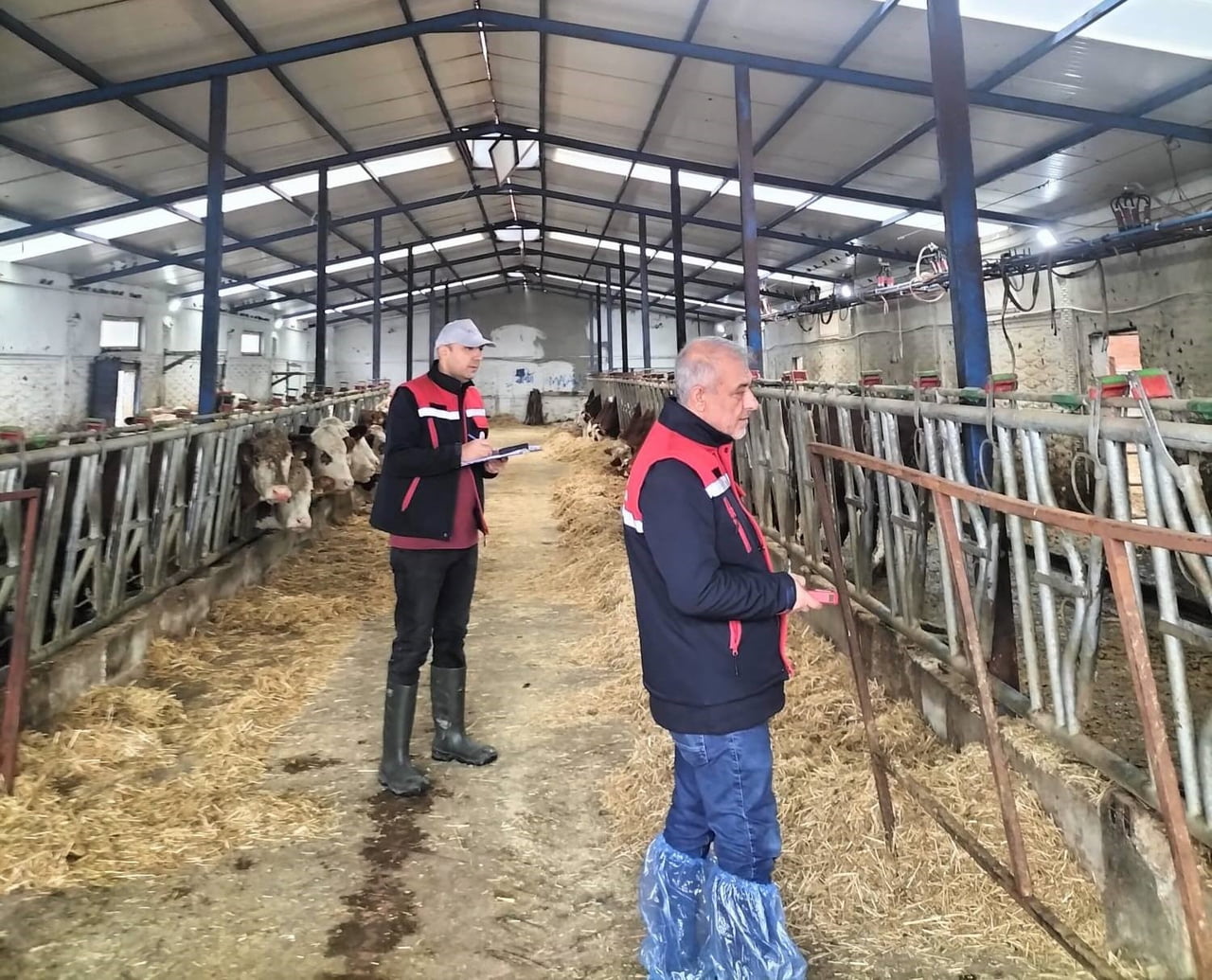 AFYONKARAHİSAR İL TARIM VE ORMAN MÜDÜRLÜĞÜ TARAFINDAN BESİCİLİK İŞLETMELERİNE YÖNELİK BAŞLATILAN...