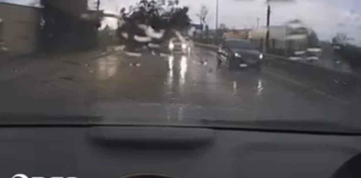 AĞACIN DEVRİLME ANI KAMERAYA YANSIDI