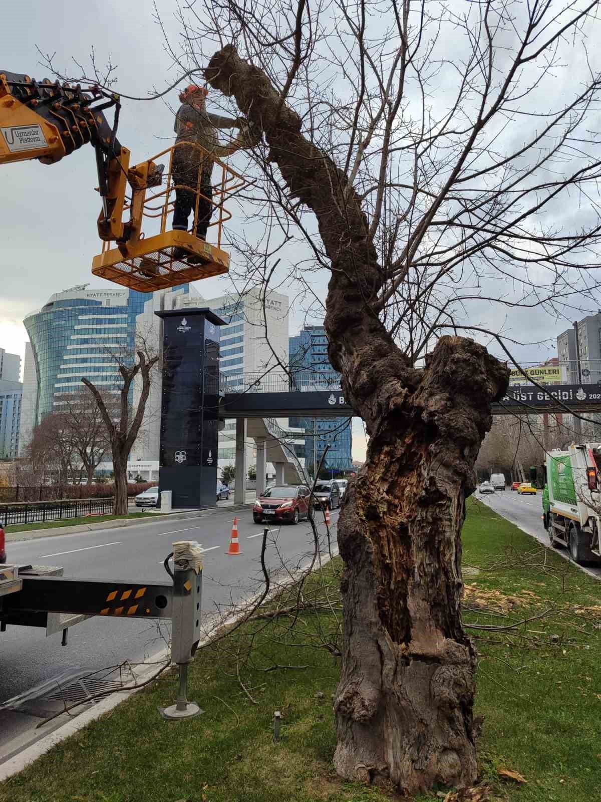 AKOM’DAN İSTANBUL İÇİN LODOS UYARISI: KUVVETLİ FIRTINA ETKİLİ OLACAK