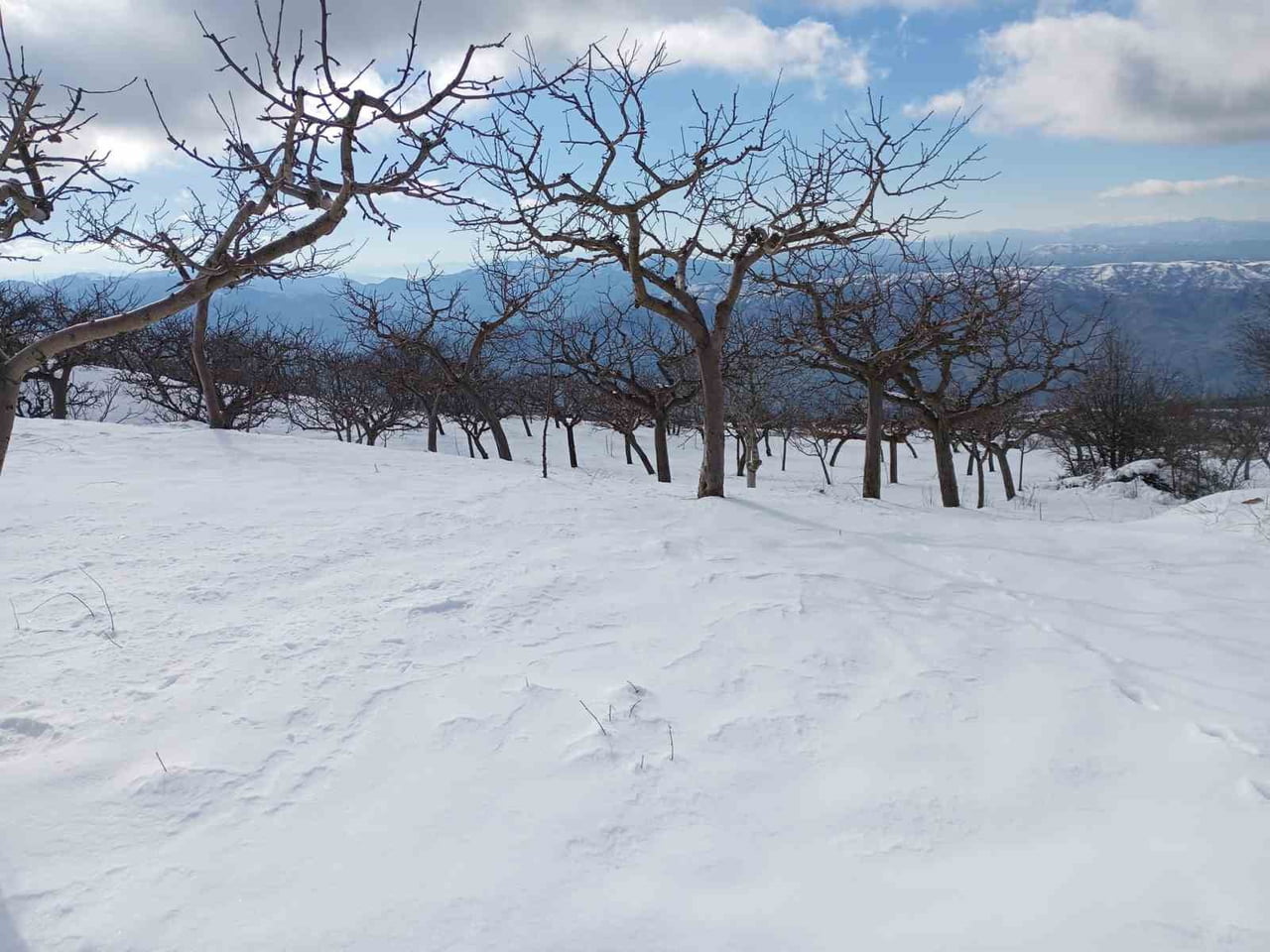 ALAŞEHİR BELEDİYESİ TARAFINDAN HAYATA GEÇİRİLEN SOSYAL ETKİNLİKLER PROJESİ KAPSAMINDA, İLÇENİN...