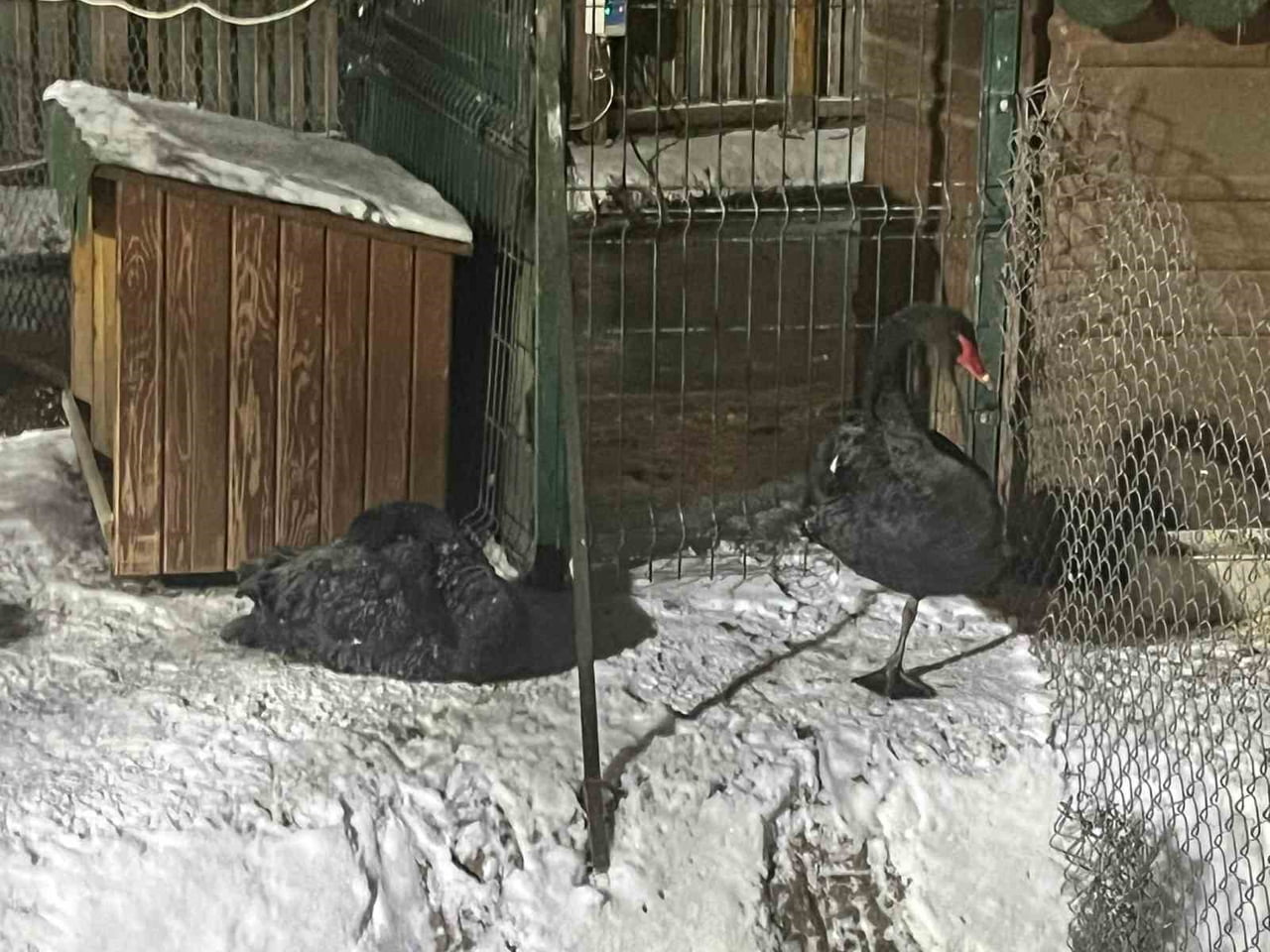 ANKARA’DA KAR YAĞIŞININ ARDINDAN HAVA SICAKLIĞI EKSİ 11 DERECEYE KADAR DÜŞTÜ. KENTİN SİMGE...