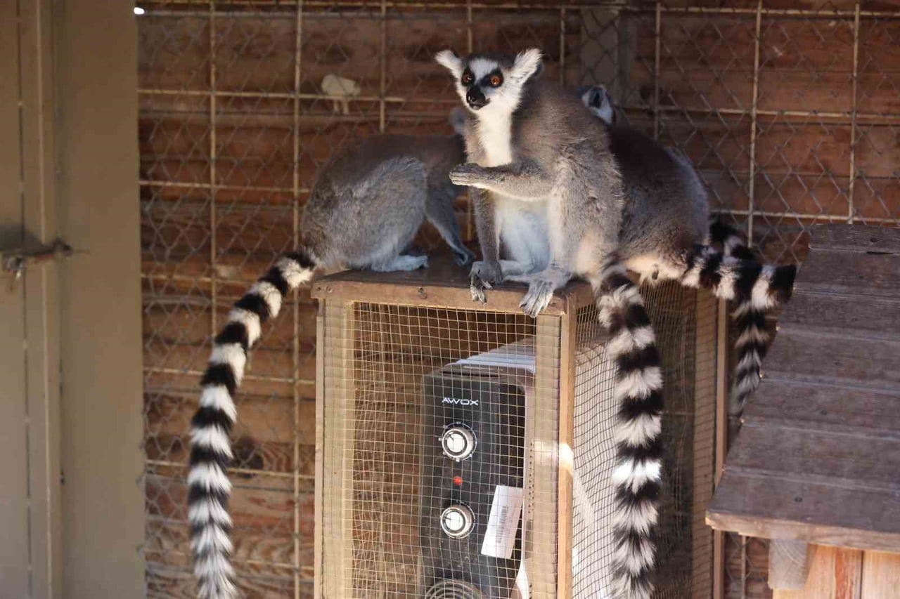 ANTALYA’DA SON GÜNLERDE ETKİLİ OLAN SOĞUK HAVA NEDENİYLE ANTALYA BÜYÜKŞEHİR BELEDİYESİ, DOĞAL...