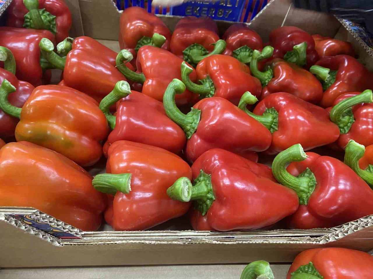 ANTALYA TİCARET BORSASI TARAFINDAN AÇIKLANAN 2025 YILI ARALIK AYI HAL ENDEKSLERİNE GÖRE, DOMATES...