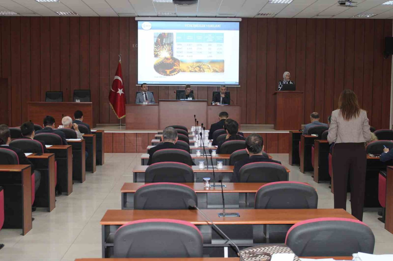 (ARŞİV FOTO) - AYDIN İL İSTİHDAM KURULU MESLEKİ EĞİTİM KURULU TOPLANTISI, AYDIN VALİSİ YAKUP...