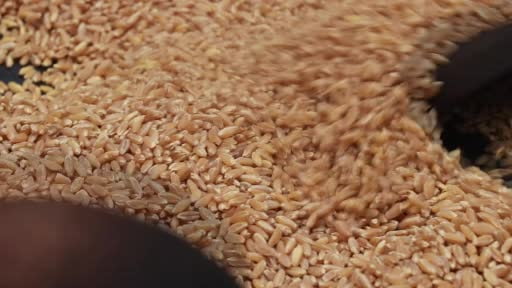 Asırlardır yaşatılan lezzet: Kavut unu sofralardan kültüre uzanan bir miras