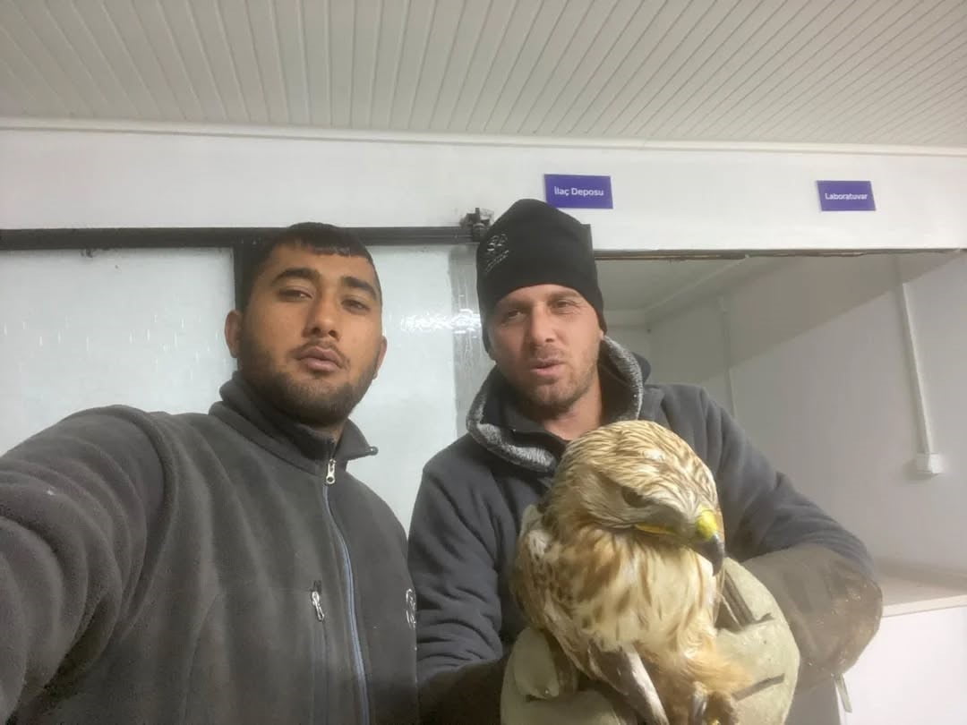 AYDIN'IN GERMENCİK İLÇESİNDE GERMENCİK BELEDİYESİ’NİN WHATSAPP İHBAR HATTI ARACILIĞIYLA TESPİT...