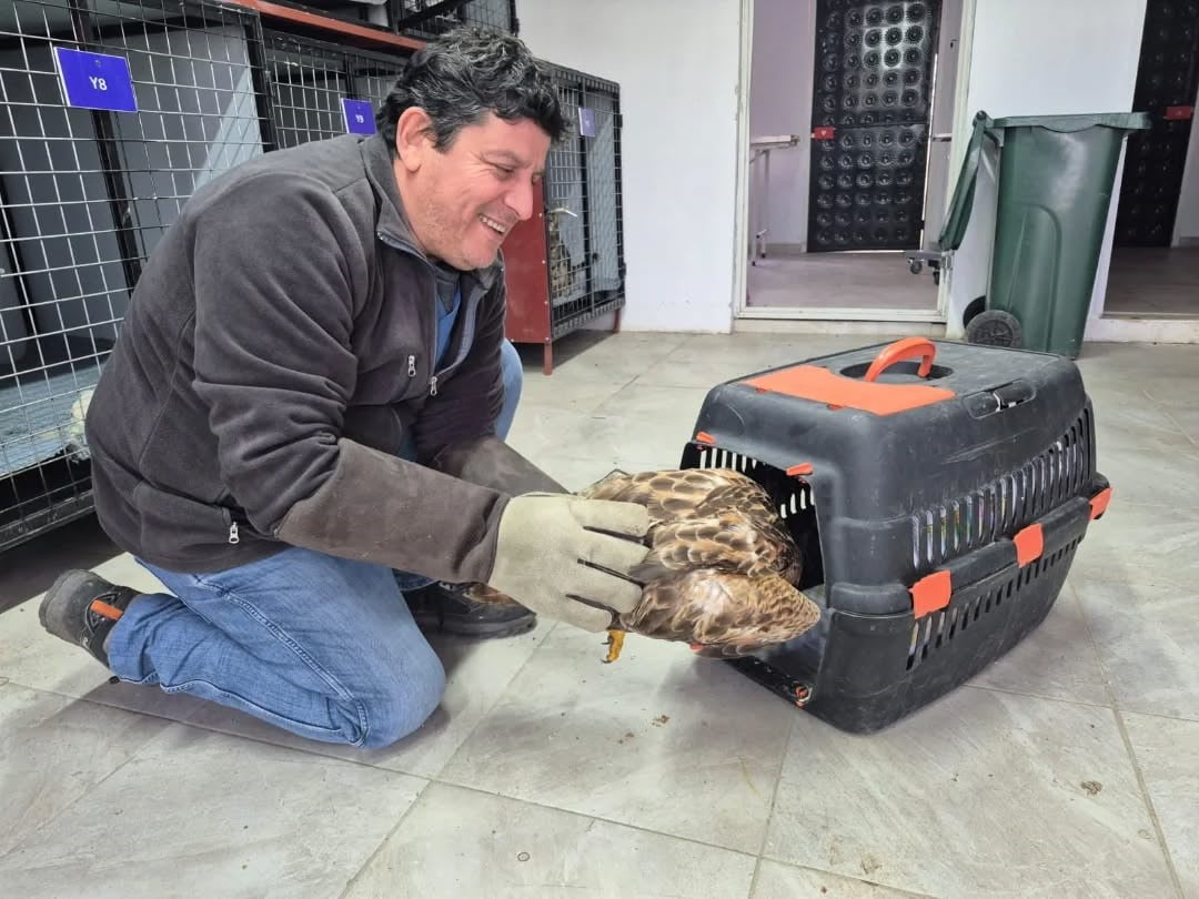 AYDIN'IN GERMENCİK İLÇESİNDE GERMENCİK BELEDİYESİ’NİN WHATSAPP İHBAR HATTI ARACILIĞIYLA TESPİT...