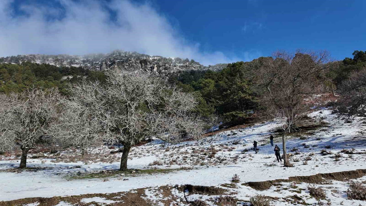 AYDIN’IN EFELER İLÇESİNDE 1600 RAKIMDA BULUNAN PAŞA YAYLASINDA ETKİLİ OLAN KAR YAĞIŞI SONRASI...