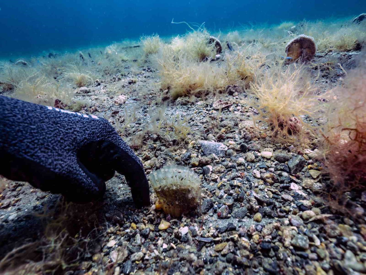 BANDIRMA ONYEDİ EYLÜL ÜNİVERSİTESİ DENİZCİLİK FAKÜLTESİ ÖĞRETİM ÜYESİ PROF. DR. MUSTAFA SARI...