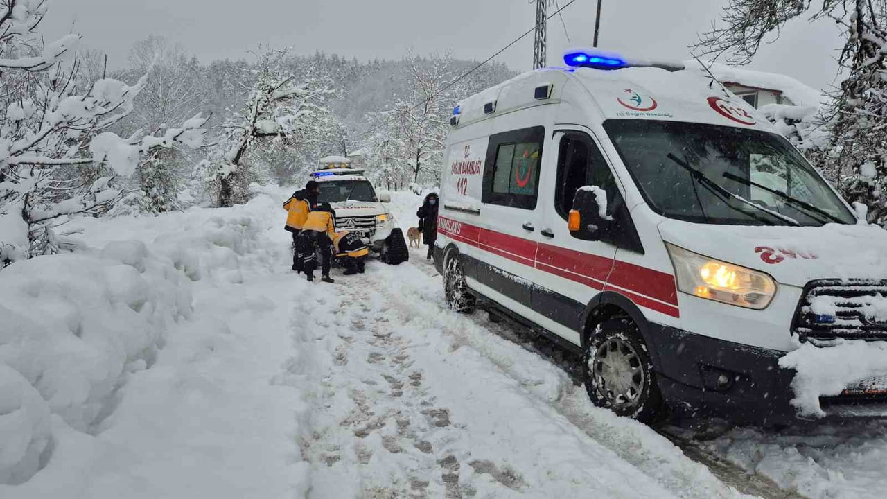 BARTIN İL SAĞLIK MÜDÜRLÜĞÜ ACİL SAĞLIK HİZMETLERİNE AİT ARAZİLİ VE PALETLİ AMBULANSLAR, SADECE...