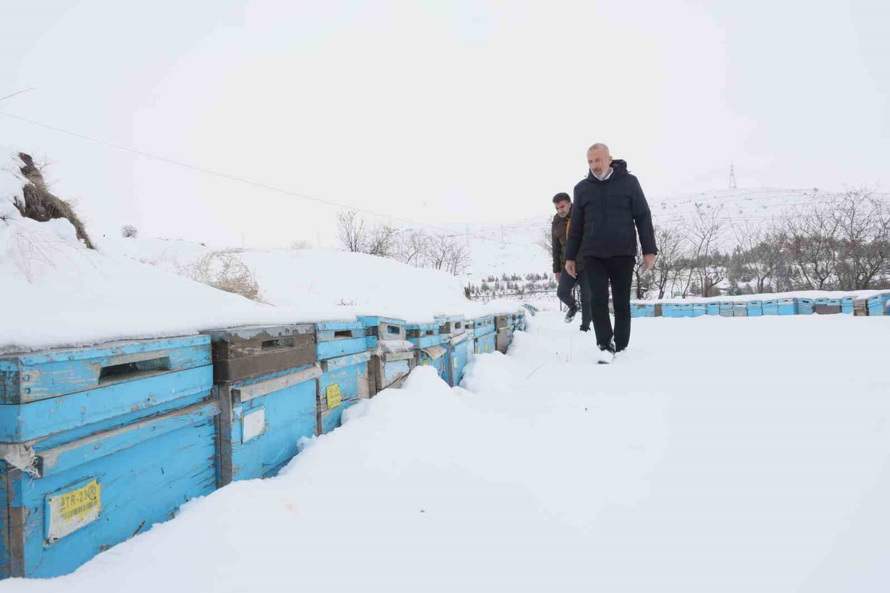 BAŞKAN FIRAT CANBAY VE ARICININ, KOVANLARI AÇMASI ARILARA BAKMASI