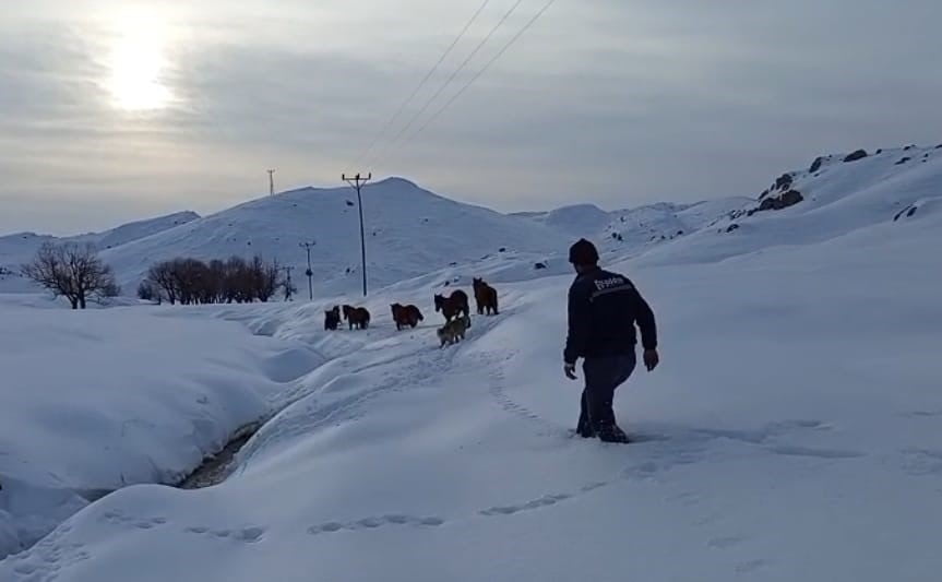 BATMAN’DA DAĞDA MAHSUR KALAN 6 KATIR KURTARILDI