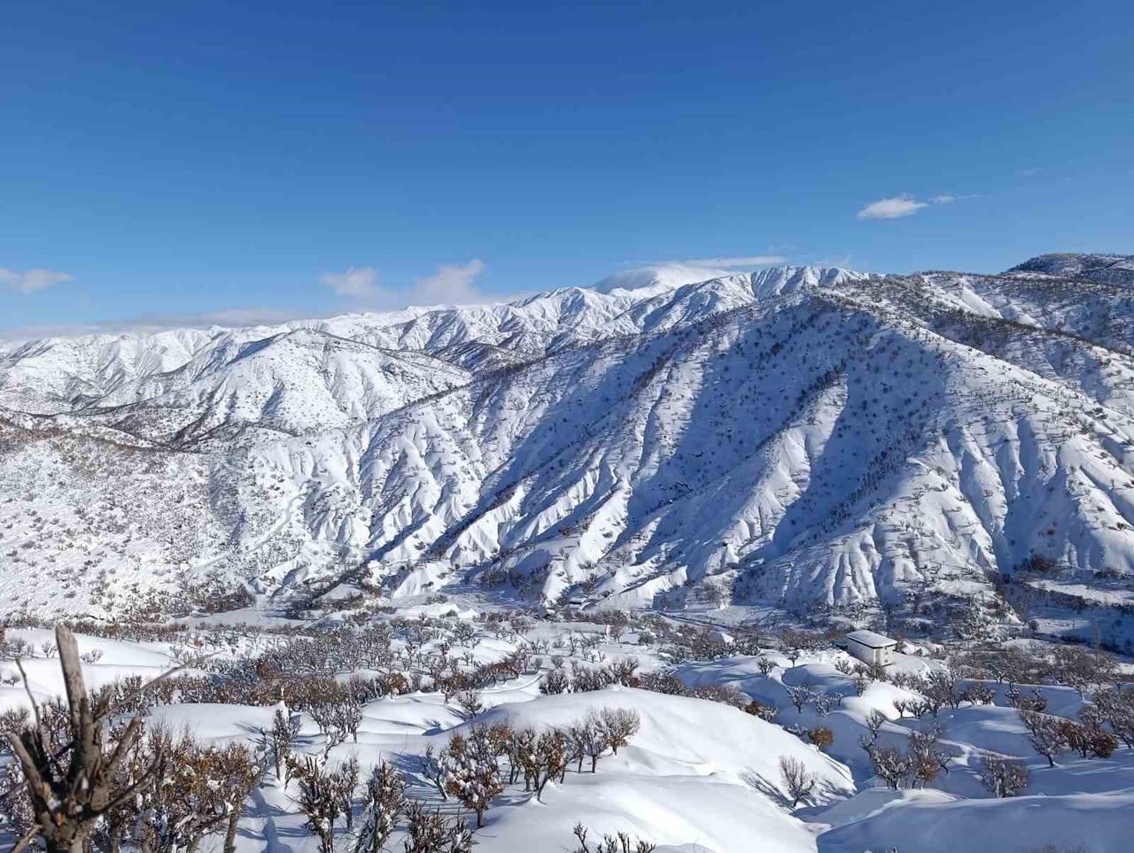 BATMAN’DA SON 20 YILIN EN SERT KIŞI YAŞANIYOR