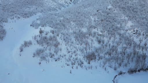 Beyaz gelinliğini giyen Şırnak'ta kartpostallık görüntüler oluştu