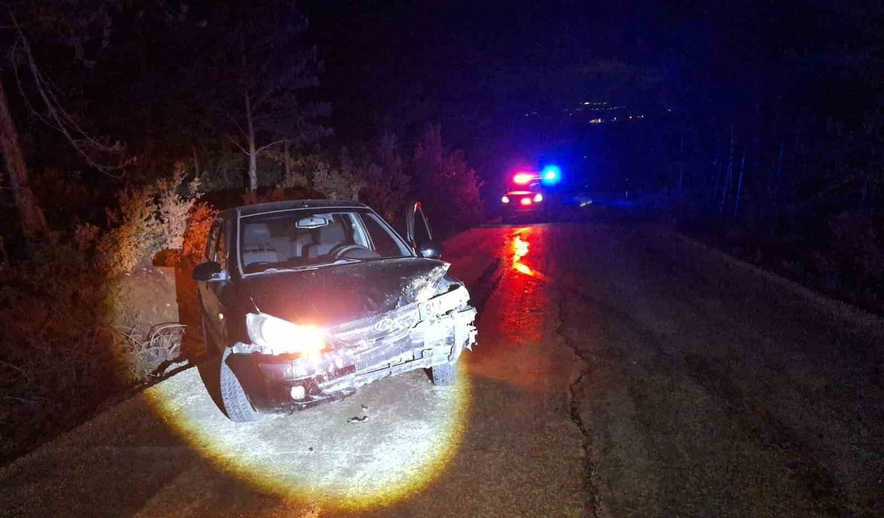 BİLECİK'TE SEYİR HALİNDE KONTROLDEN ÇIKAN OTOMOBİL AĞACA ÇARPARKEN, MEYDANA GELEN TRAFİK KAZASINDA...