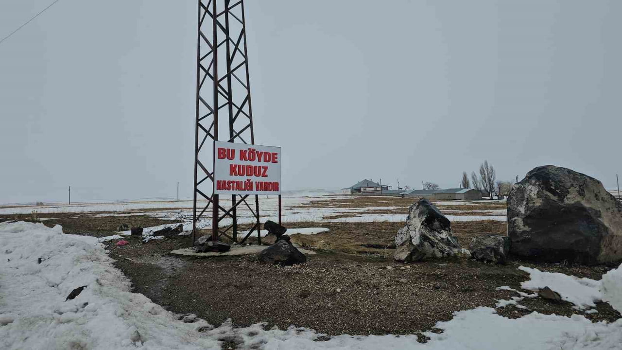 BİTLİS'İN ADİLCEVAZ İLÇESİNE BAĞLI KÖMÜRLÜ KÖYÜ KUDUZ NEDENİYLE KARANTİNAYA ALINDI.