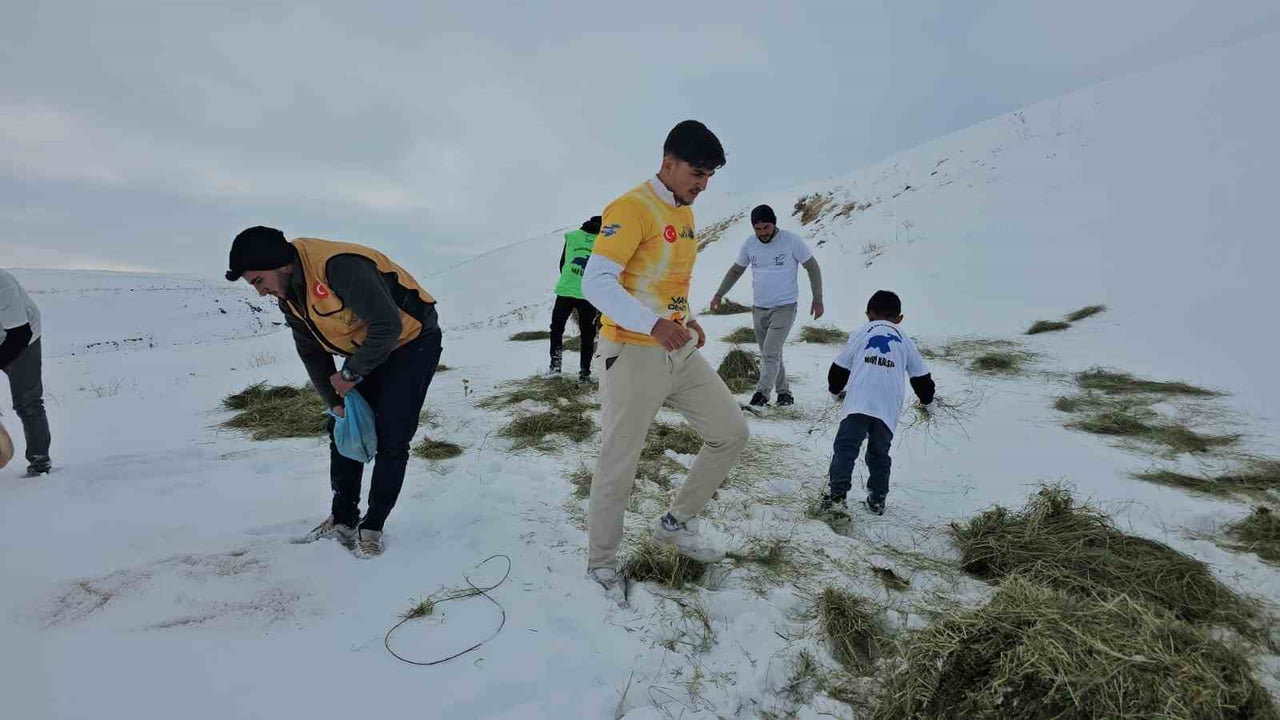 BİTLİS’İN ADİLCEVAZ İLÇESİNDE DOĞA VE HAYVAN HAKLARI SAVUNUCULARI, KIŞ ŞARTLARININ AĞIRLAŞMASIYLA...