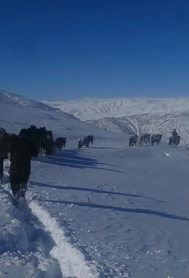 BİTLİS’İN HİZAN İLÇESİNDE YOĞUN KAR YAĞIŞI NEDENİYLE MAHSUR KALAN AT VE KATIRLAR, GÜVENLİK...
