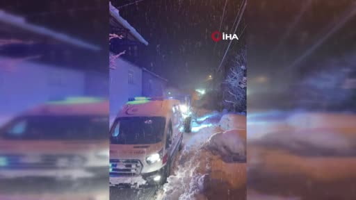 Bitlis’te zorlu doğa şartlarına rağmen başarılı kurtarma