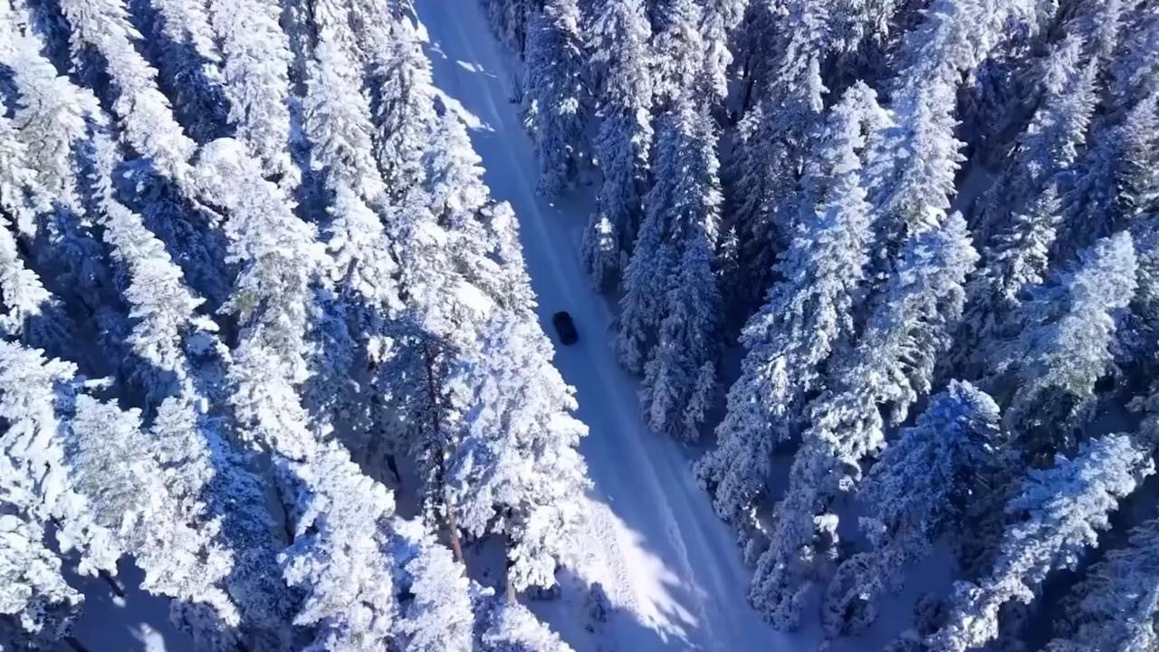 BOLU’DA ETKİLİ OLAN KAR YAĞIŞI, ALADAĞ BÖLGESİNDEKİ ÇAM ORMANLARINDA KARTPOSTALLIK GÖRÜNTÜLER...