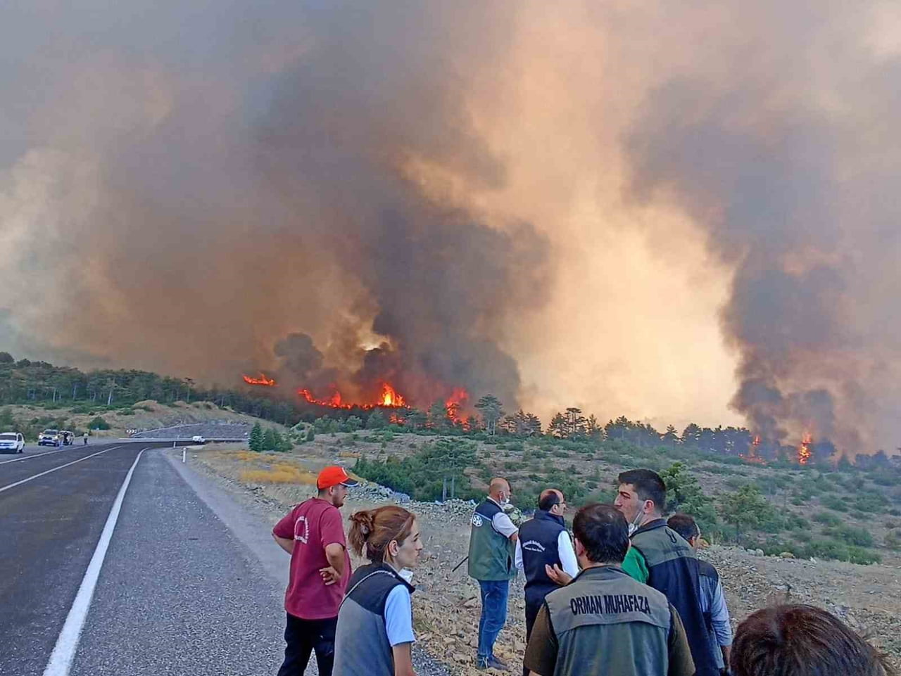 BURSA'NIN HARMANCIK VE ORHANELİ İLÇELERİNDE GEÇTİĞİMİZ YIL TEMMUZ AYINDA ÇIKAN ORMAN YANGINLARINDA...