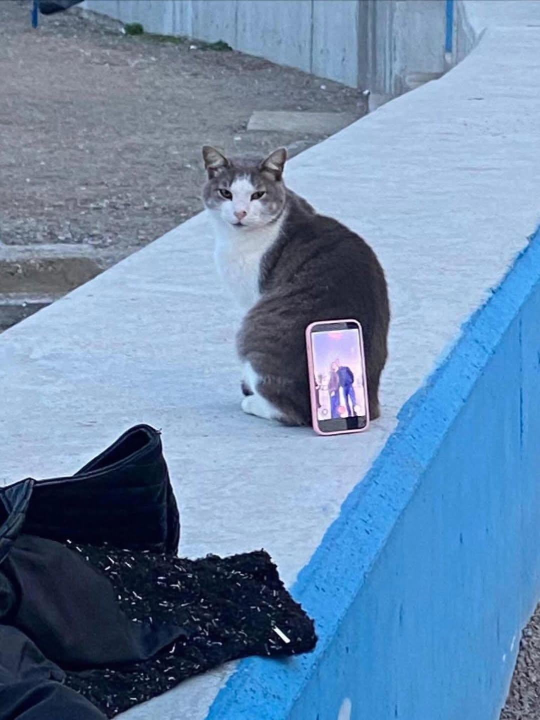 BURSA'NIN MUDANYA İLÇESİNDE SAHİLDE FOTOĞRAF ÇEKTİRMEK İSTEYEN BİR ÇİFT, ÇEVREDE KENDİLERİNE...