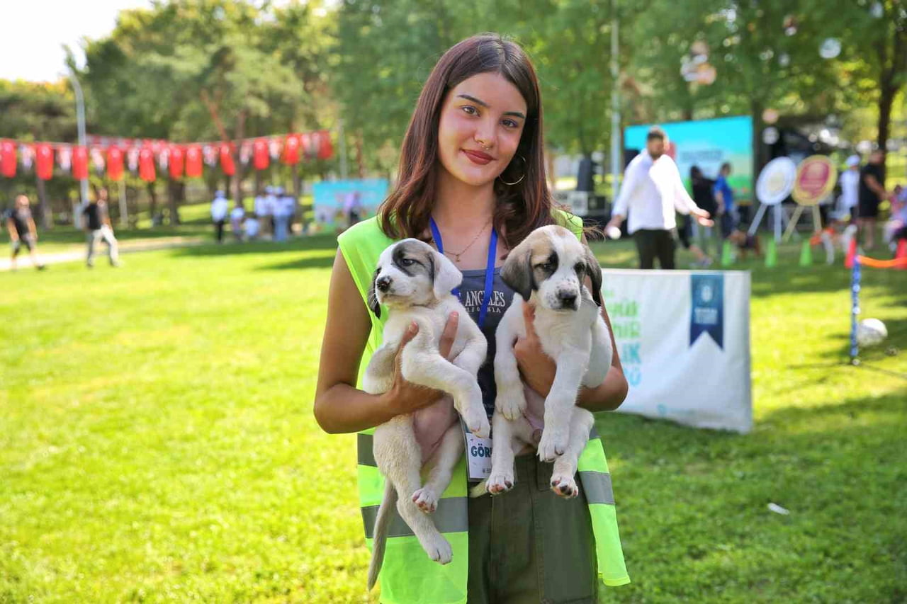 BURSA’DA SAHİPSİZ HAYVANLARIN DAHA İYİ KOŞULLARDA YAŞAMASI İÇİN BİRÇOK PROJE GELİŞTİREN BÜYÜKŞEHİR...