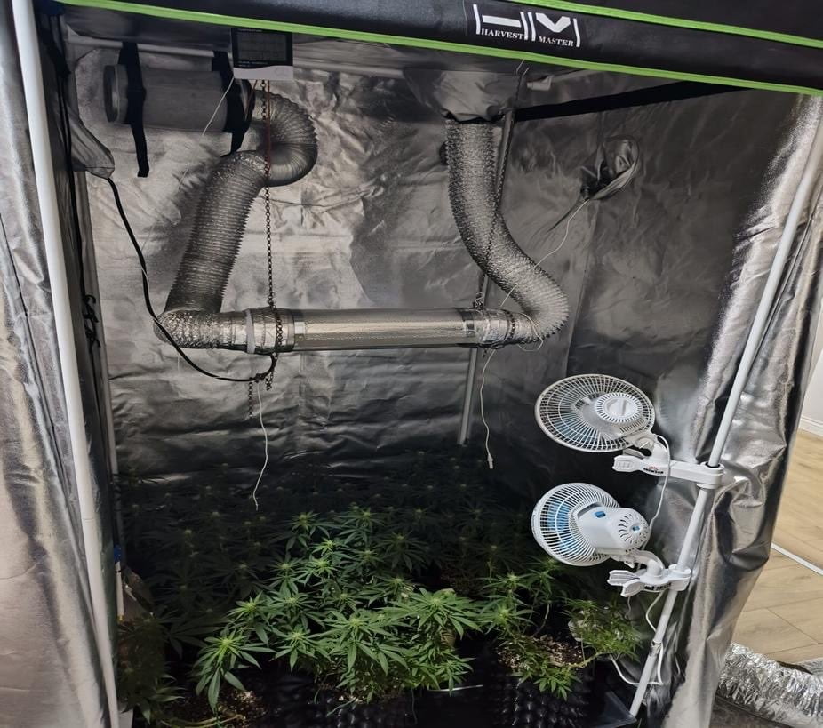 BURSA’NIN İNEGÖL İLÇESİNDE JANDARMA EKİPLERİNCE DÜZENLENEN OPERASYONDA, BİR İKAMETTE ESRAR...