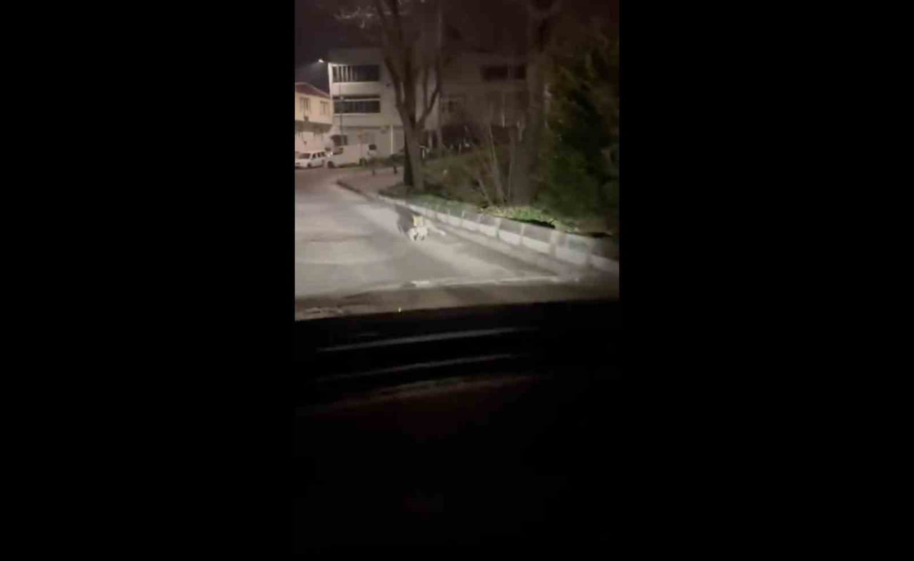 BURSA’NIN NİLÜFER İLÇESİ ÜÇEVLER MAHALLESİ’NDE GECE SAATLERİNDE KAYDEDİLEN GÖRÜNTÜLER, YERLEŞİM...