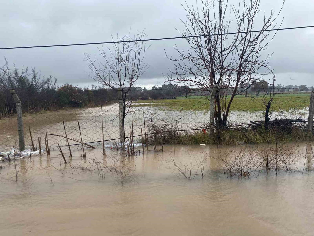 ÇANAKKALE'NİN AYVACIK İLÇESİNDE ETKİLİ OLAN SAĞANAK YAĞIŞ SONRASI TARIM ARAZİLERİ SULAR ALTINDA...