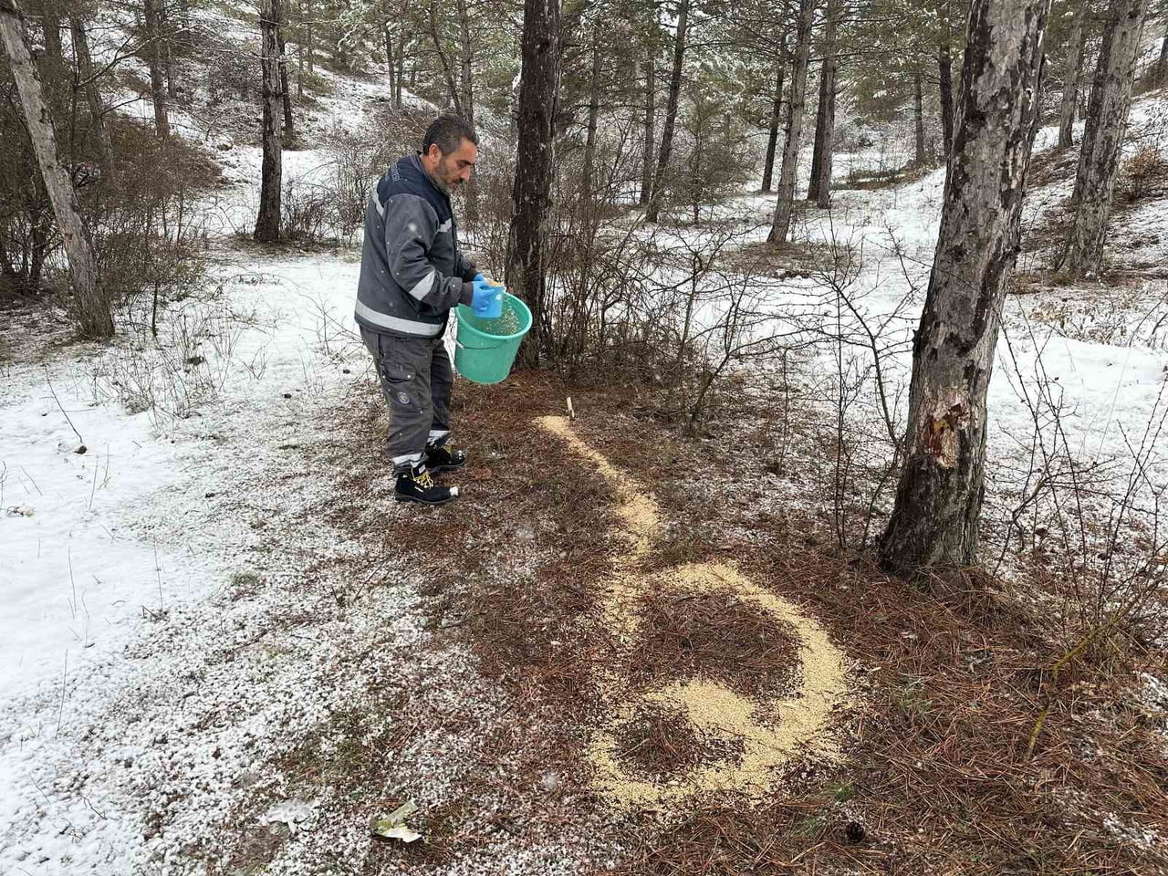 ÇORUM BELEDİYESİ, YABAN HAYVANLARI İÇİN DOĞADA YEMLEME ÇALIŞMASI YAPTI.