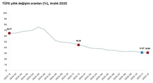 CUMHURBAŞKANI YARDIMCISI CEVDET YILMAZ, "ENFLASYONLA MÜCADELEYE YÖNELİK KARARLI VE KOORDİNELİ...