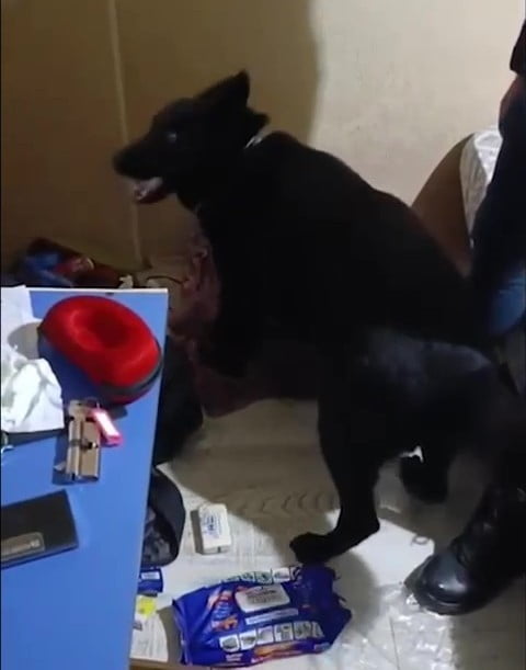 DENİZLİ’DE NARKOTİK POLİSLERİNİN YAPTIĞI OPERASYONDA, 2 KİLO 395 GRAM UYUŞTURUCU MADDEYİ LİF VE...